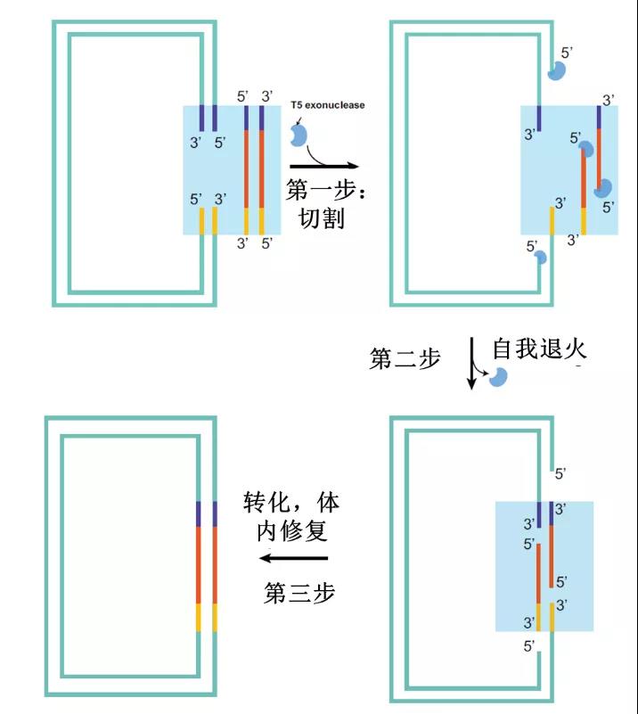 微信圖片_20210708180526.jpg